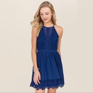 Francesca's LONDON MESH LACE A-LINE DRESS